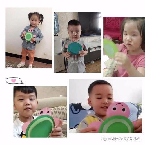 幼儿圆视频,视频回顾