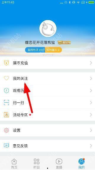 播放最多的视频,最受欢迎内容背后的秘密